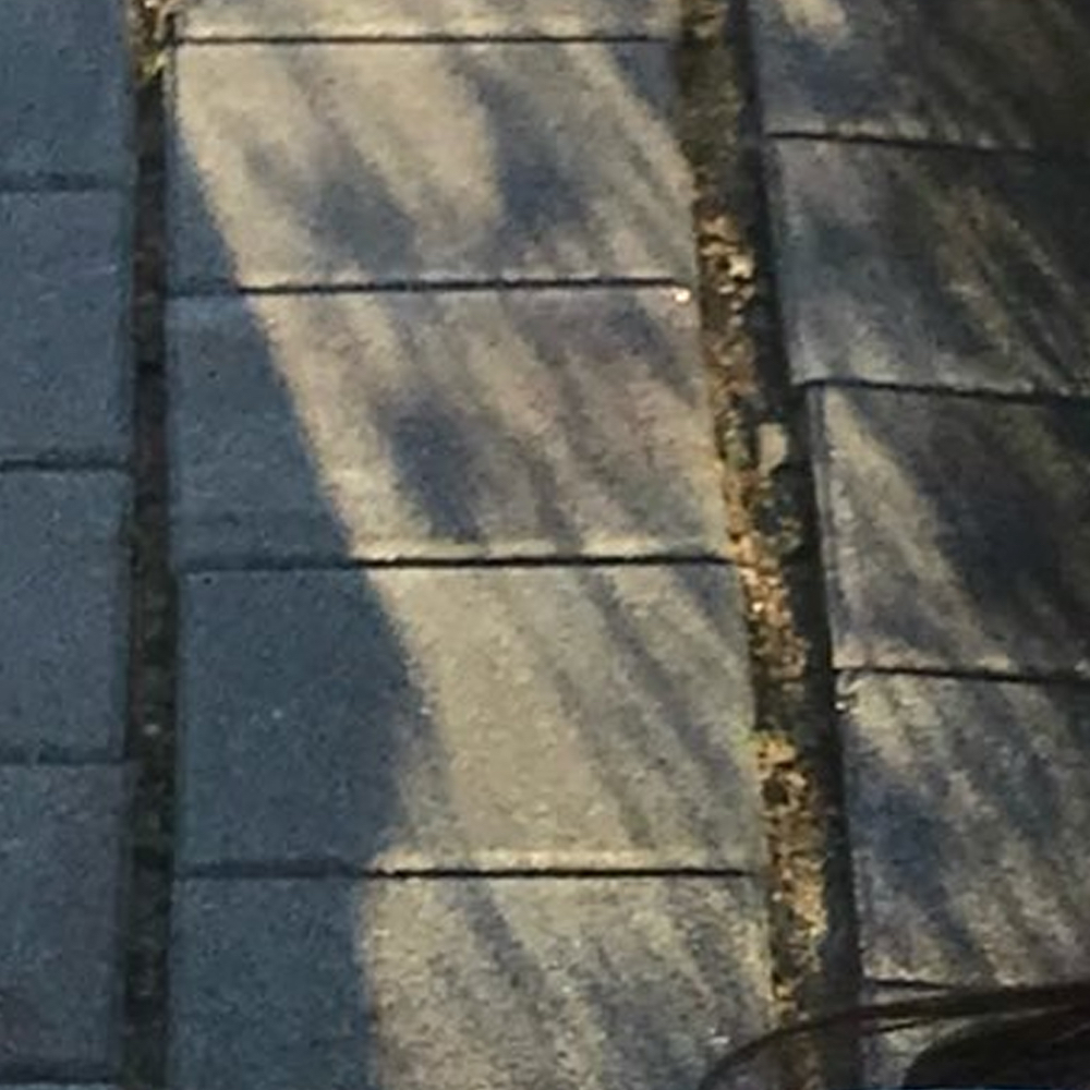 Behind-the-scenes cut of Go Won (Loossemble)