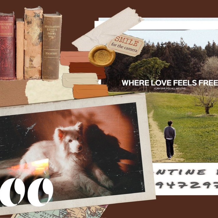 community_articles_contents