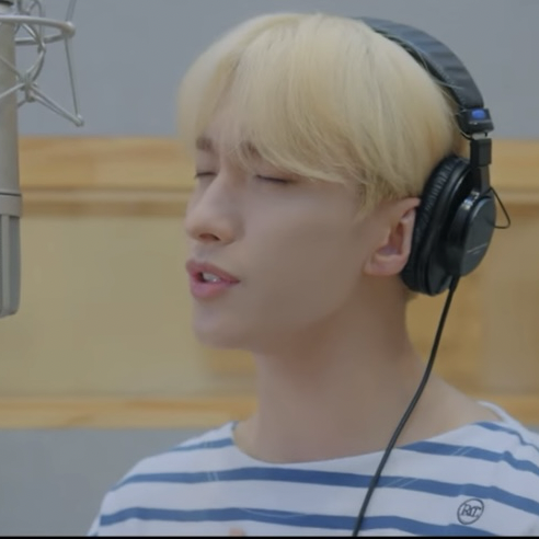 A moment captured by DK (SEVENTEEN)'s fan