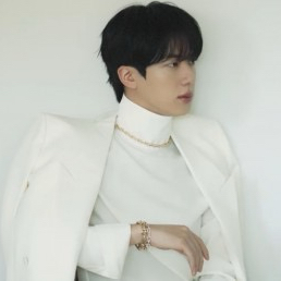 진 (방탄소년단) 팬이 찍은 순간