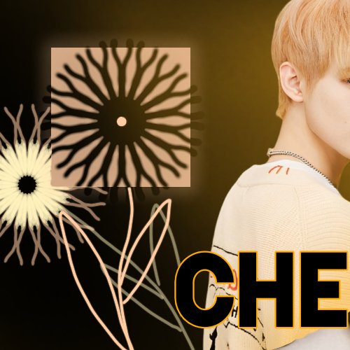 A moment captured by Chenle (NCT DREAM)'s fan