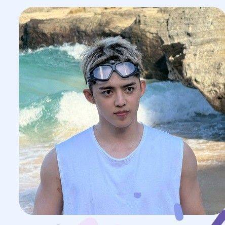 エスクプス (SEVENTEEN)の最近の活動写真