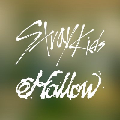 Stray Kids 팬이 찍은 순간