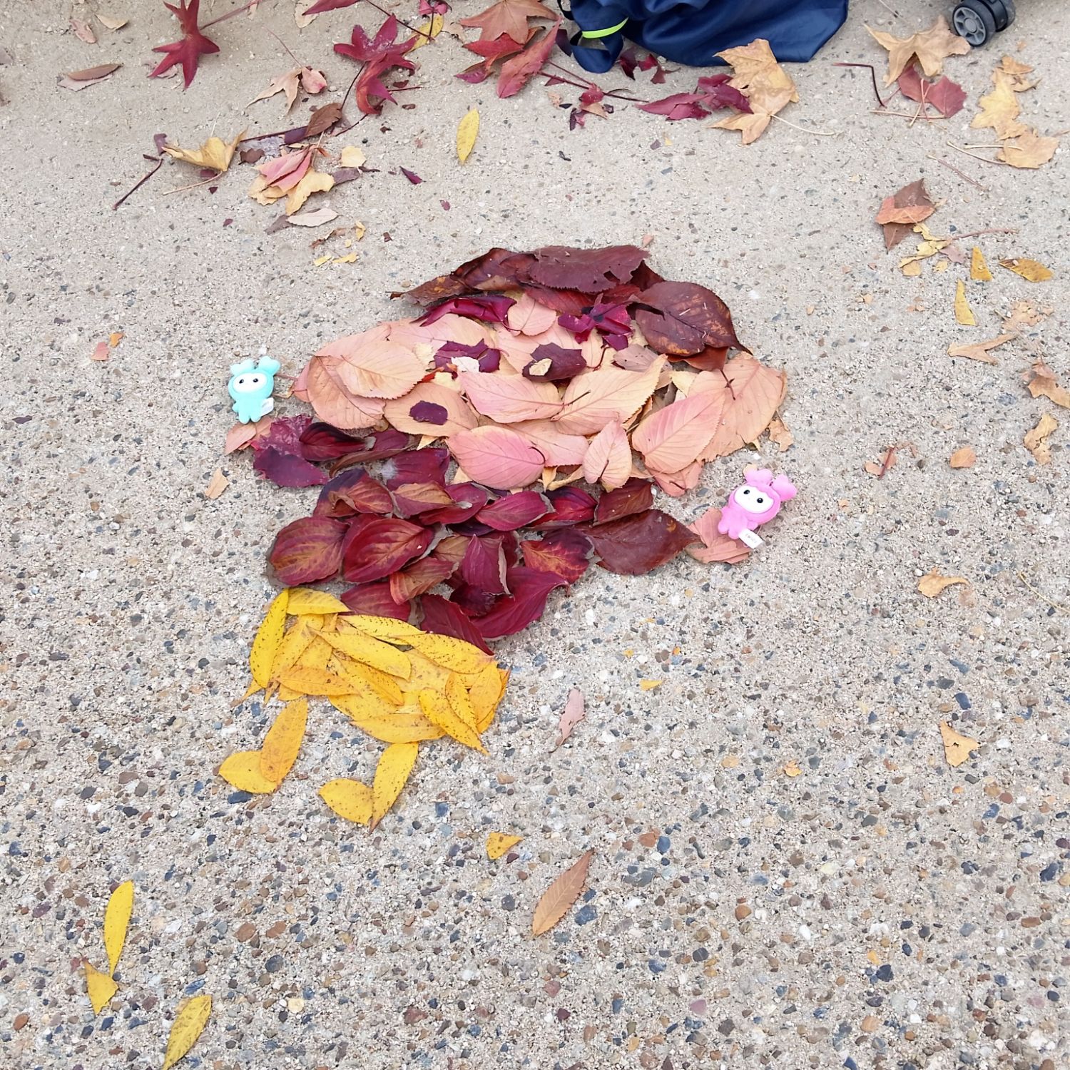 모모 (TWICE)의 최신 사진