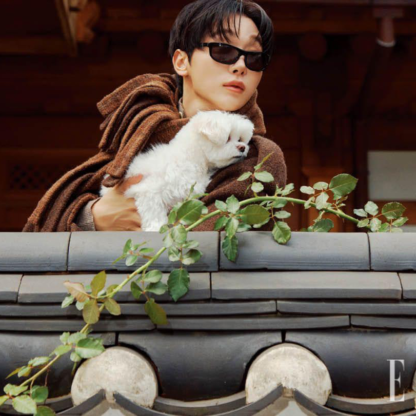 Recent activity shot of SEVENTEEN