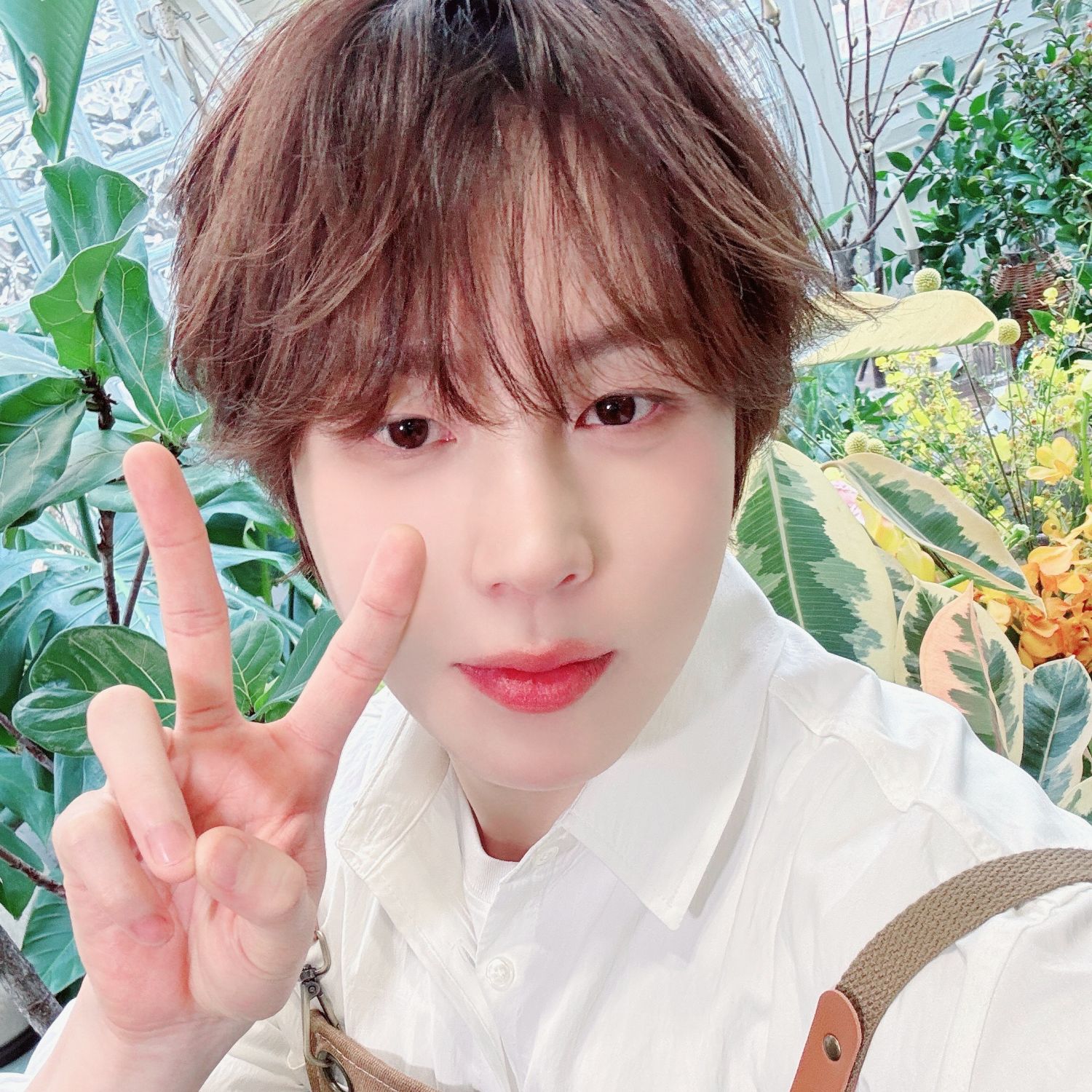 A moment captured by Ha Sungwoon's fan