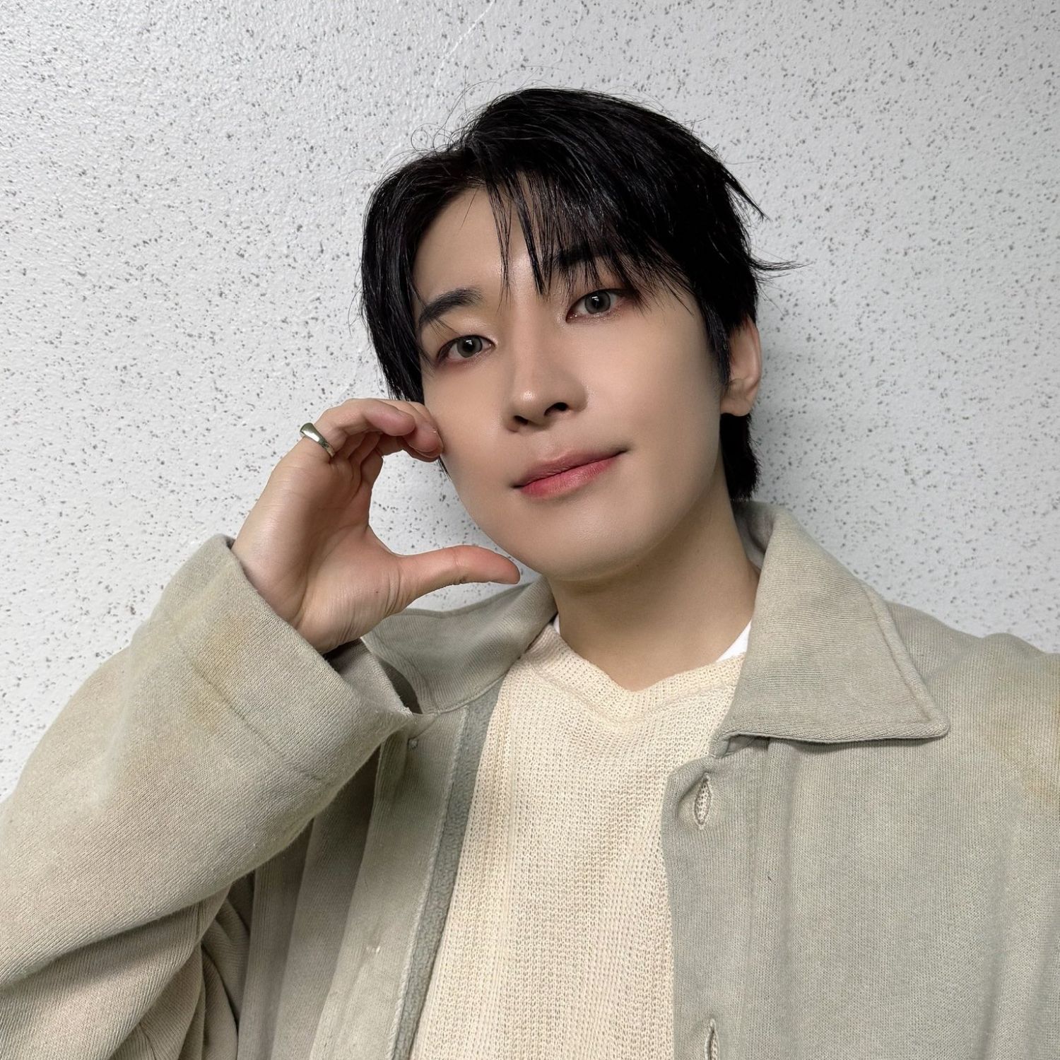 원우 (세븐틴) 팬이 찍은 순간