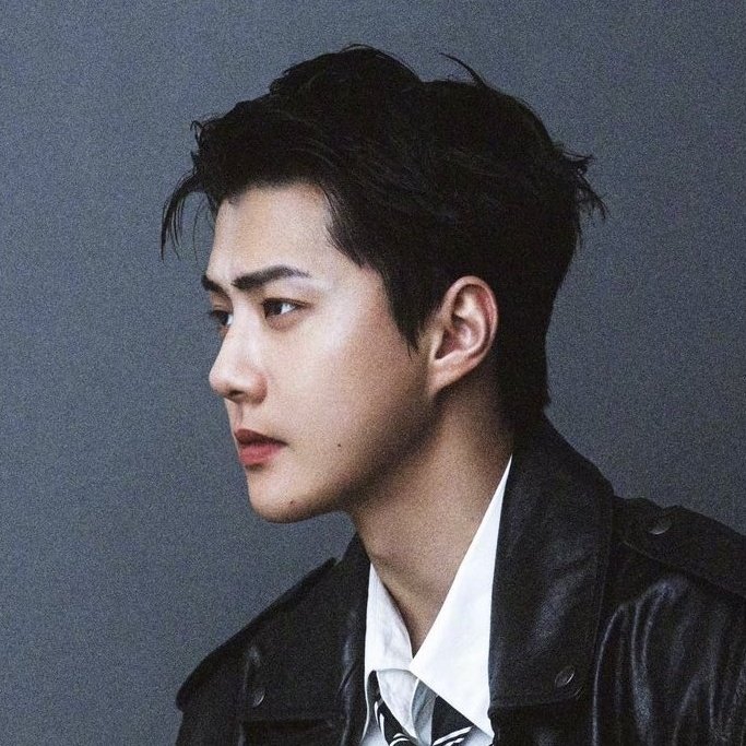 Recent activity shot of EXO