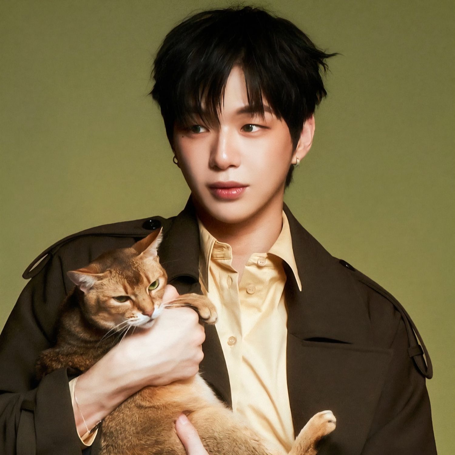 강다니엘 팬이 찍은 순간