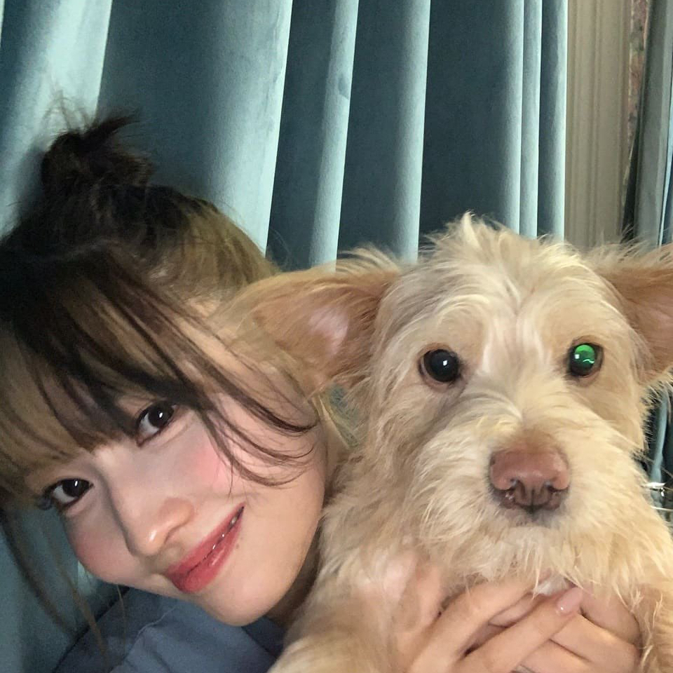 Behind-the-scenes cut of Momo (TWICE)