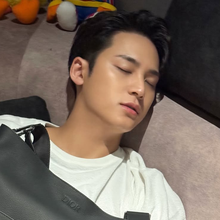 A moment captured by Mingyu (SEVENTEEN)'s fan