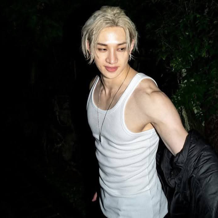 A moment captured by Bang Chan (Stray Kids)'s fan