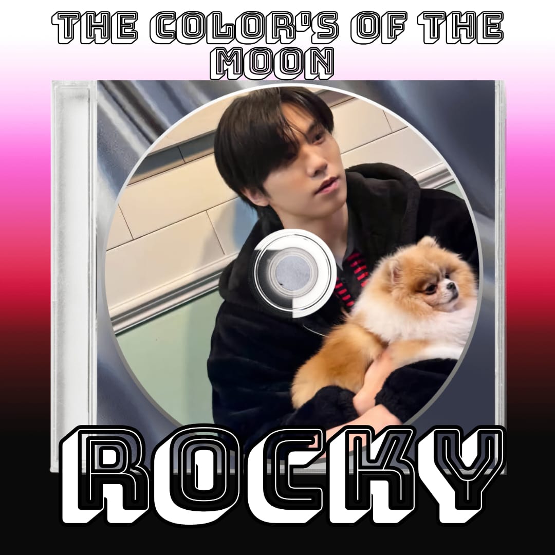 Recent activity shot of Rocky