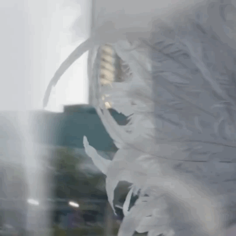 Recent activity shot of NMIXX