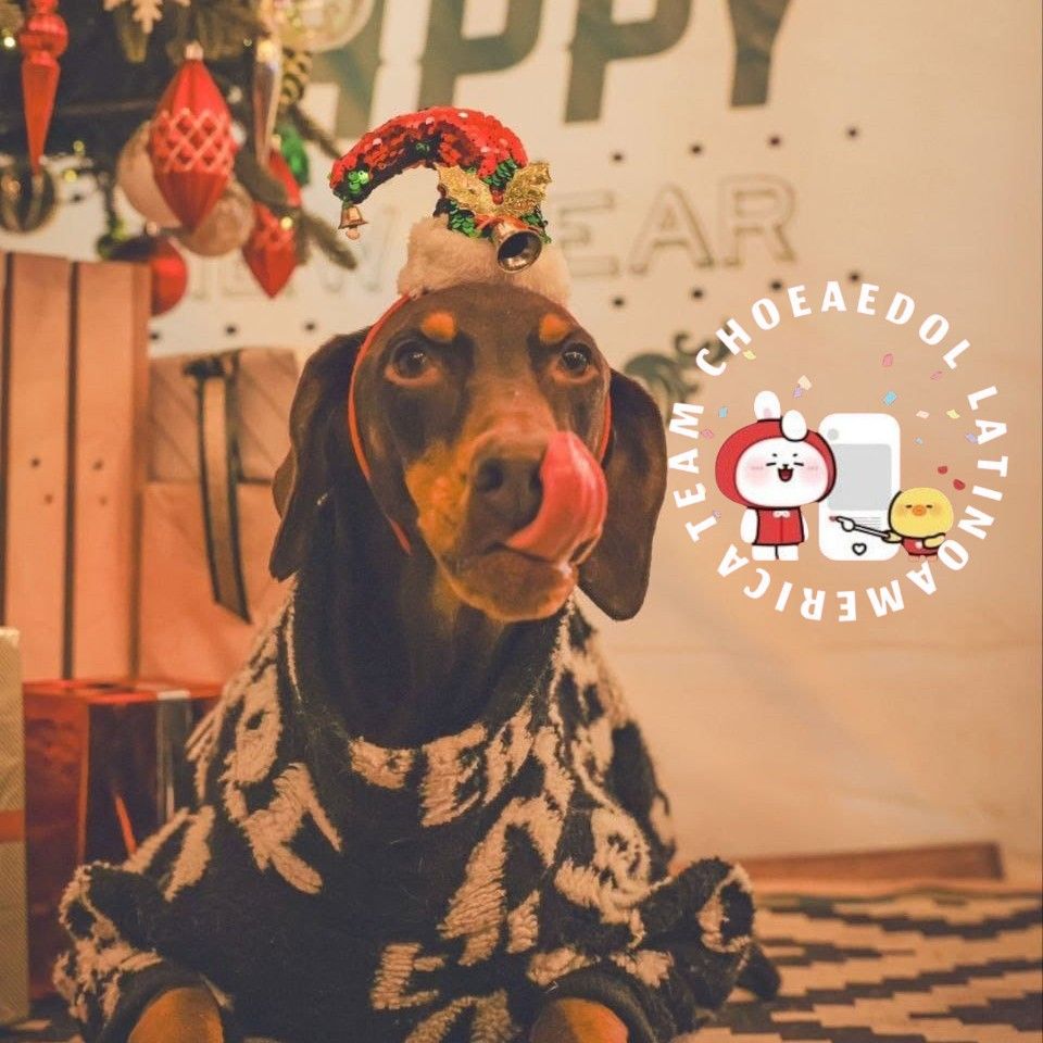 柾国 (防弹少年团)的幕后花絮