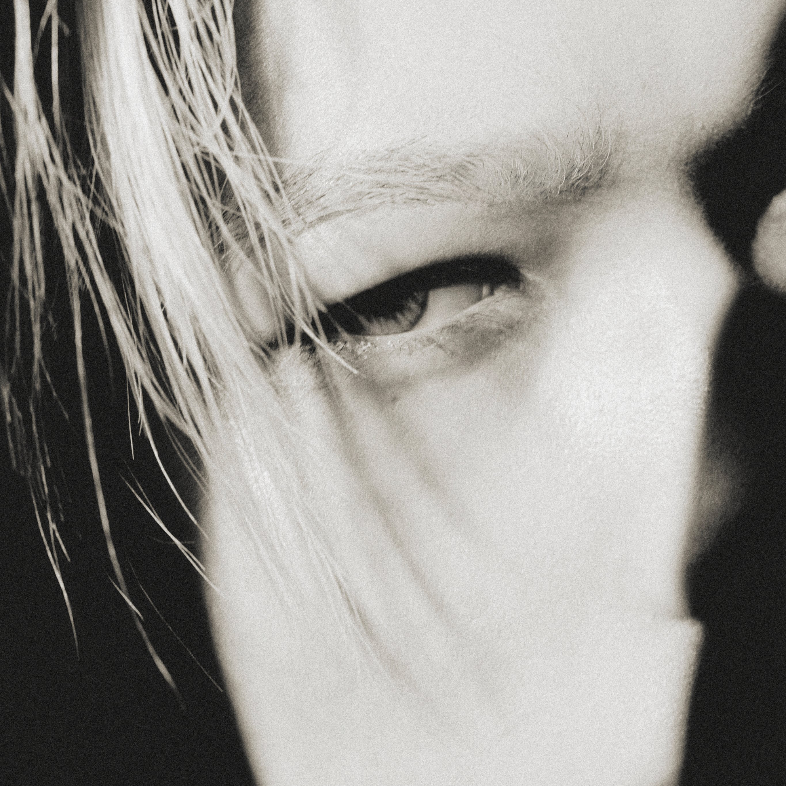 NI-KI (ENHYPEN)的幕後花絮