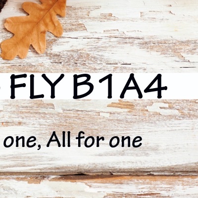 Behind-the-scenes cut of B1A4