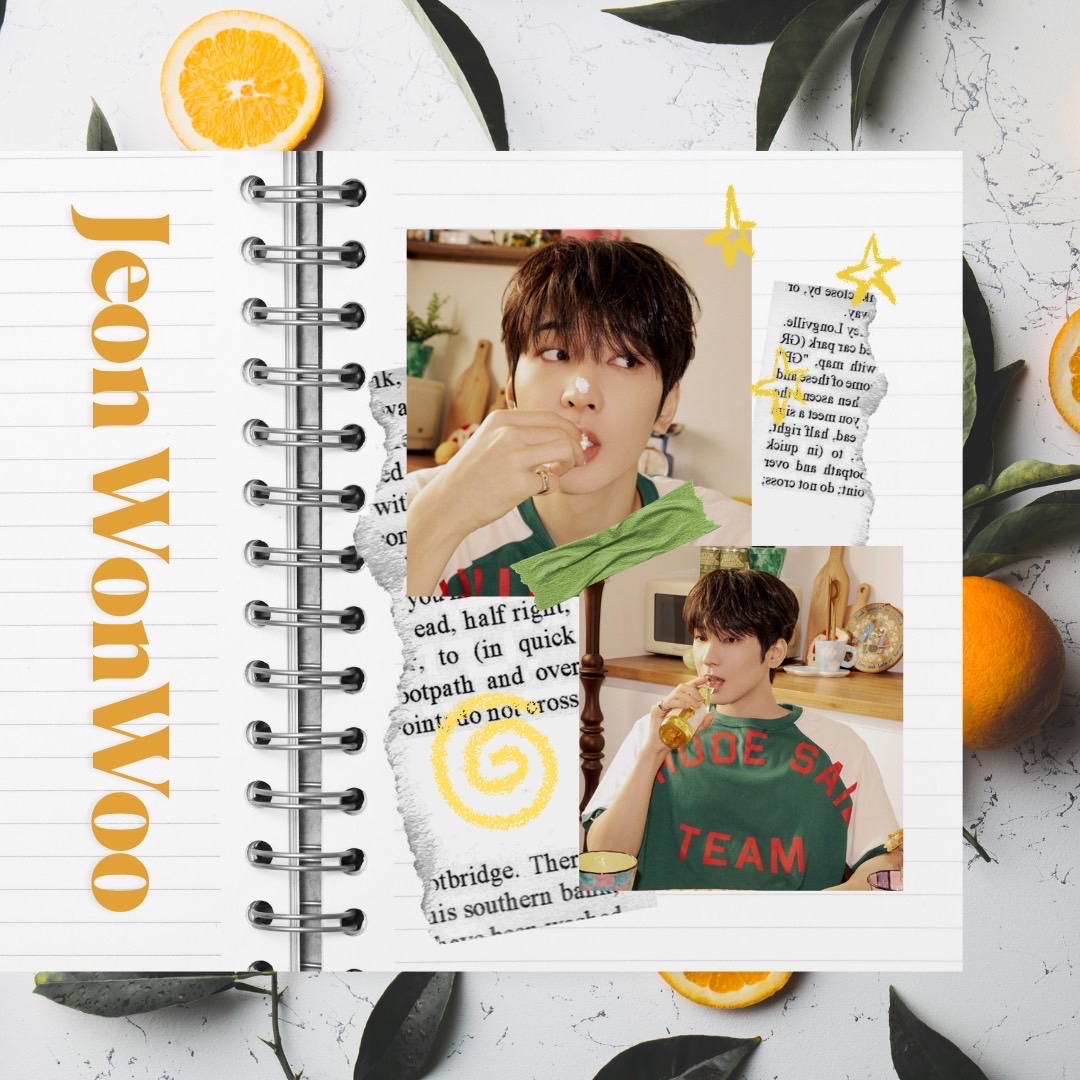 Momen yang diabadikan oleh penggemar Wonwoo (SEVENTEEN)