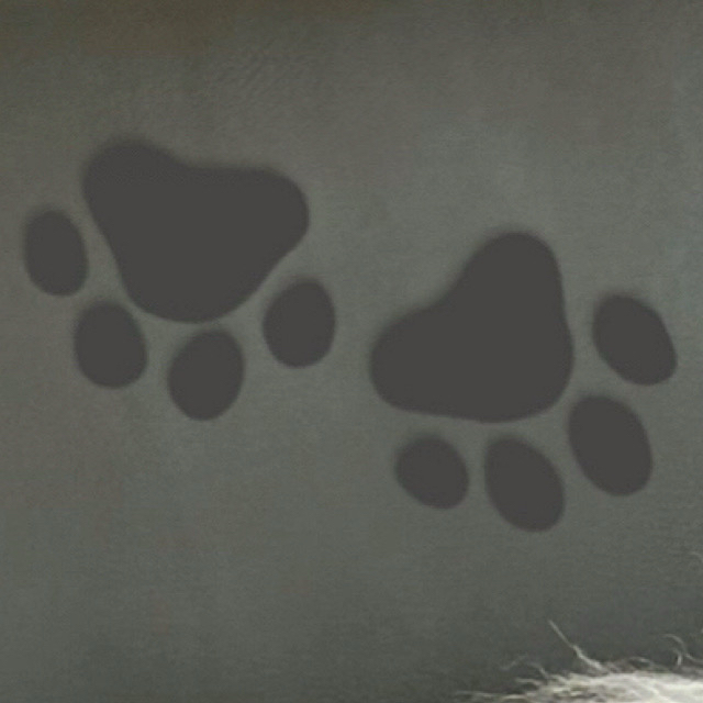 Behind-the-scenes cut of Ravn