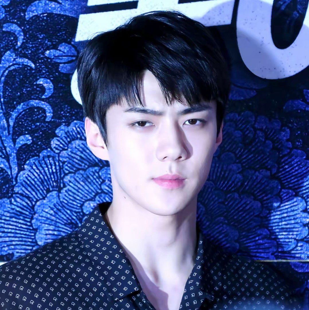 世勳 (EXO)粉絲拍下的瞬間