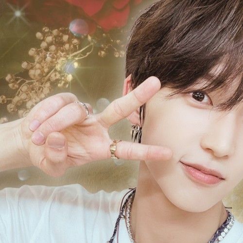 Popular K-POP post loved by fans