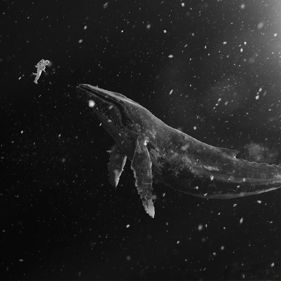 EXO의 비하인드 컷