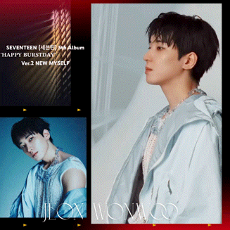Recent activity shot of Wonwoo (SEVENTEEN)