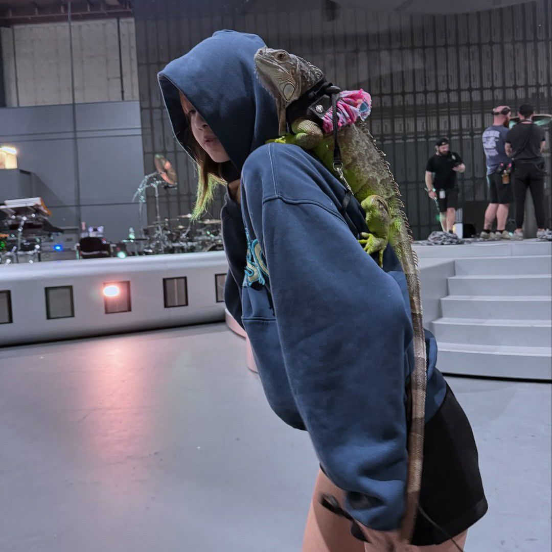 Recent activity shot of Lisa (BLACKPINK)