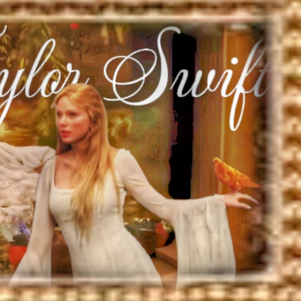 A moment captured by Taylor Swift's fan