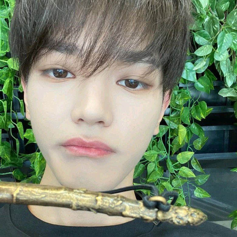 泰容 (NCT 127)的最新照片