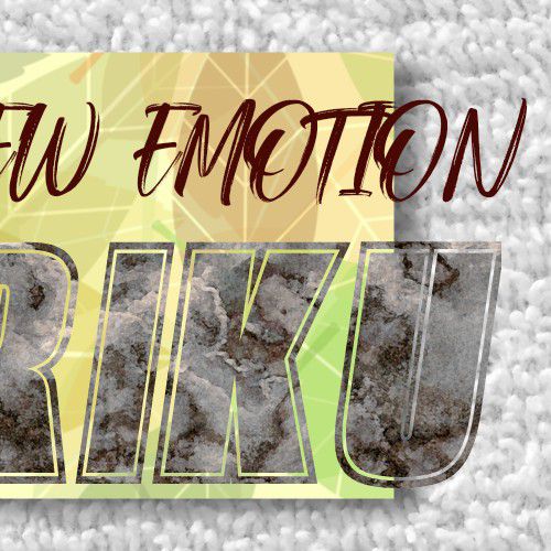 リク (NiziU)ファンが撮った瞬間