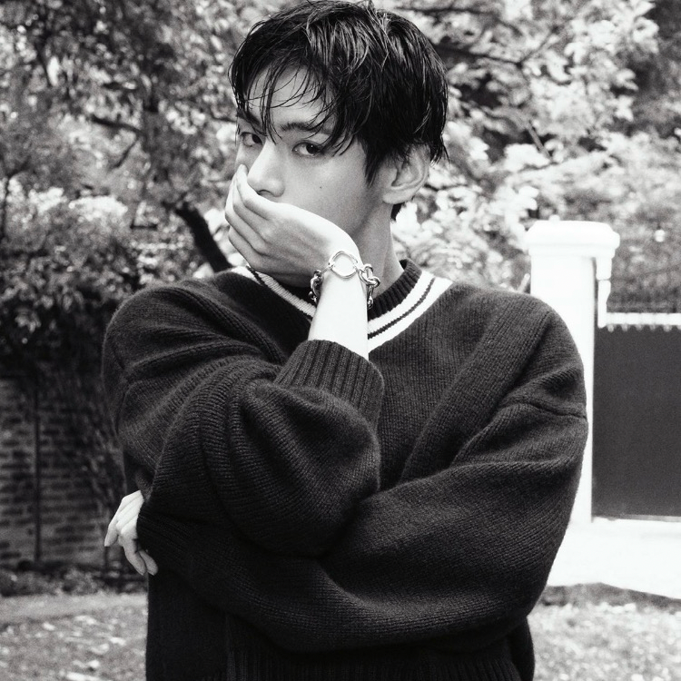 뷔 (방탄소년단)의 최신 사진