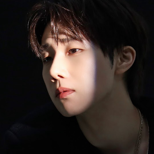 A moment captured by Sungkyu (INFINITE)'s fan