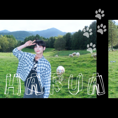 Recent activity shot of Harua (&TEAM)