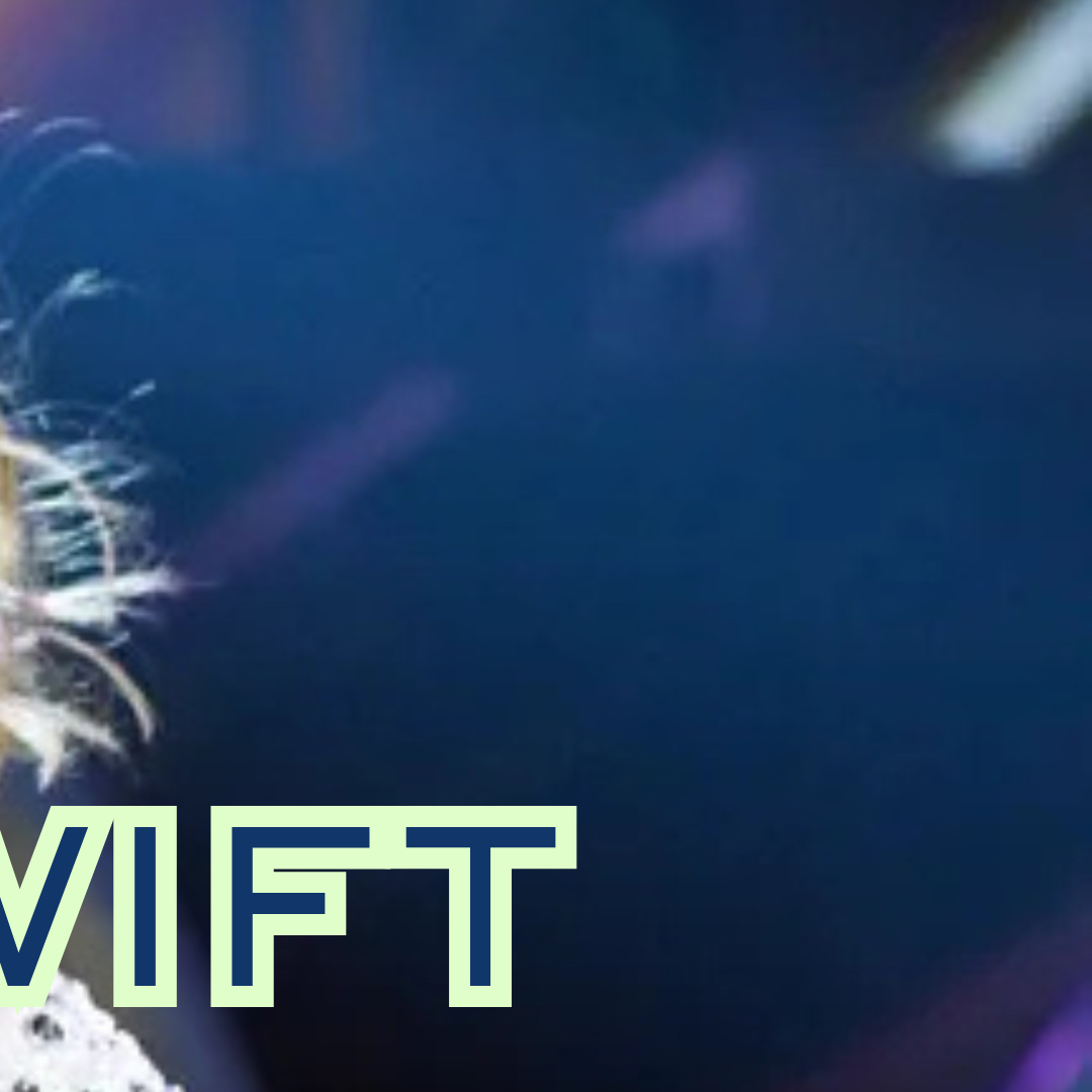 A moment captured by Taylor Swift's fan
