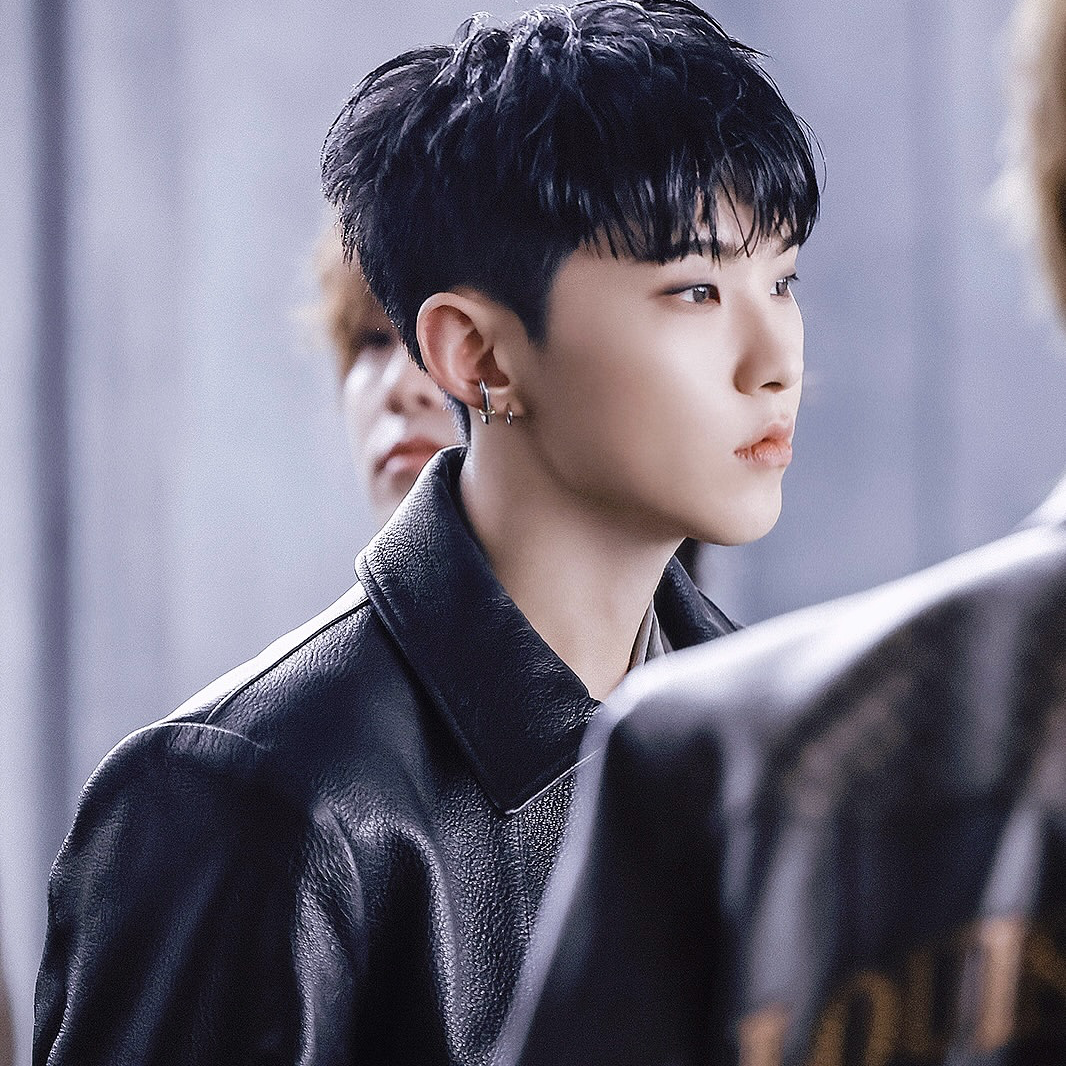 A moment captured by Hoshi (SEVENTEEN)'s fan