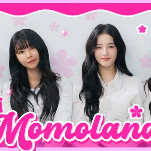 Recent activity shot of MOMOLAND
