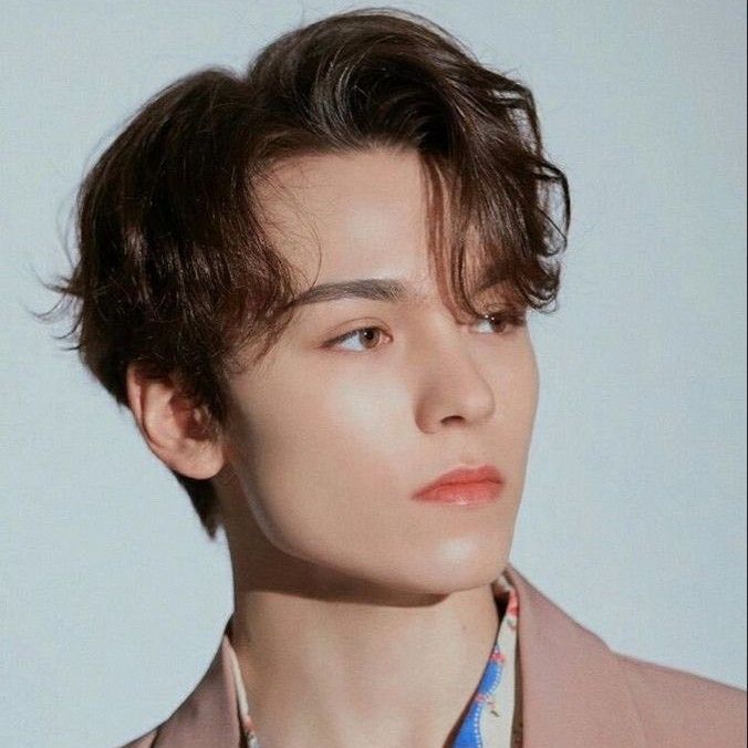 A moment captured by SEVENTEEN's fan