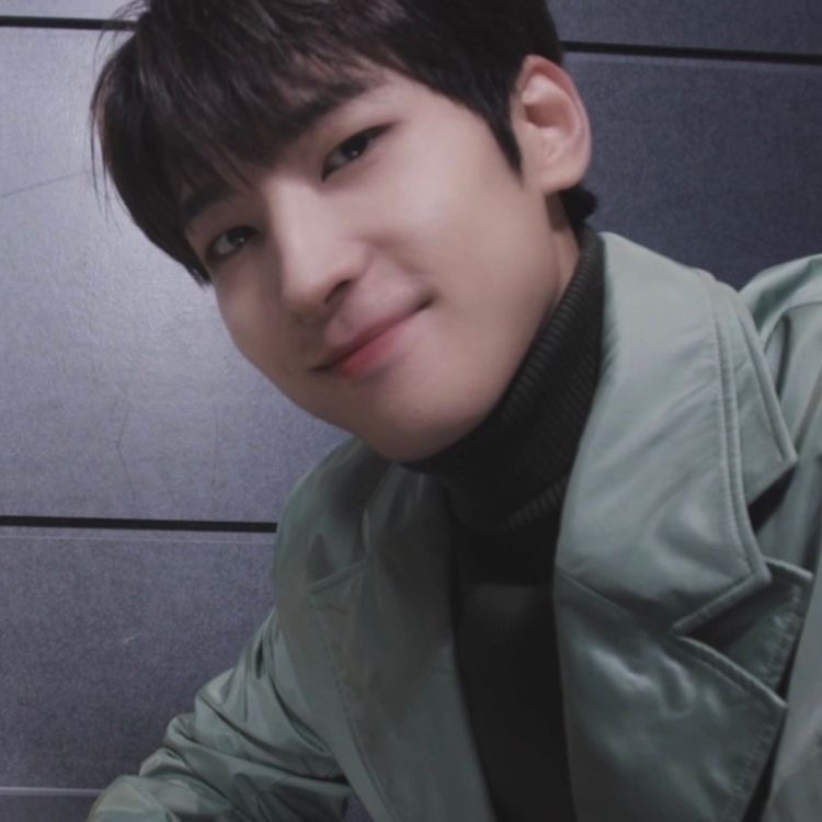 Recent activity shot of Wonwoo (SEVENTEEN)