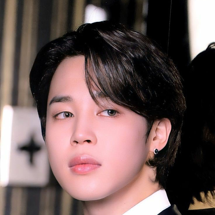 A moment captured by Jimin (BTS)'s fan