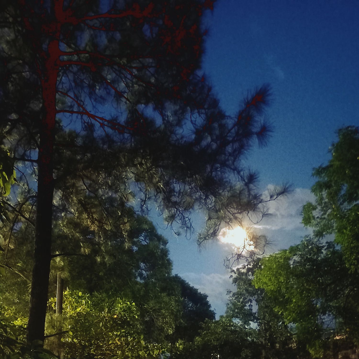 A moment captured by Jinjin (ASTRO)'s fan