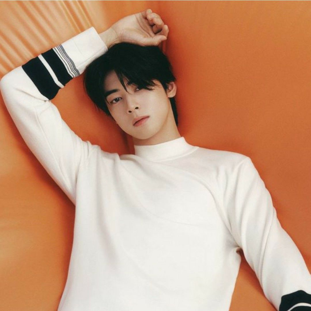 아스트로 팬이 찍은 순간