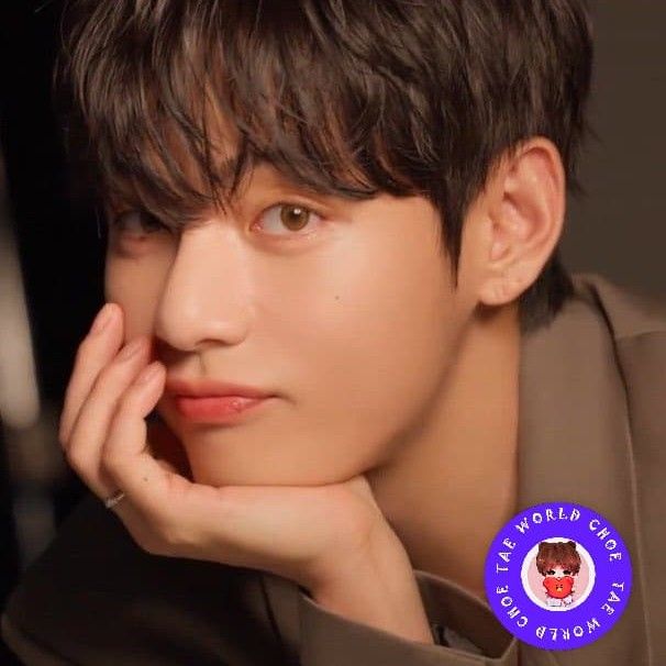 뷔 (방탄소년단) 팬이 찍은 순간