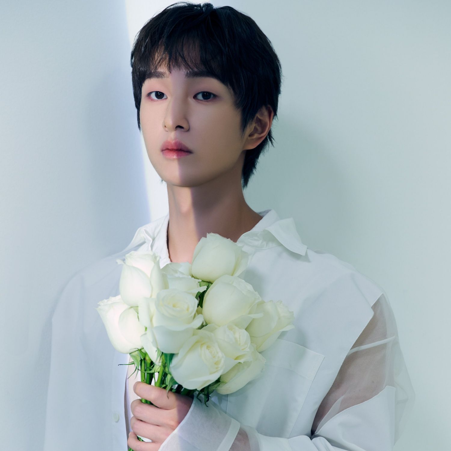 A moment captured by Onew (SHINee)'s fan
