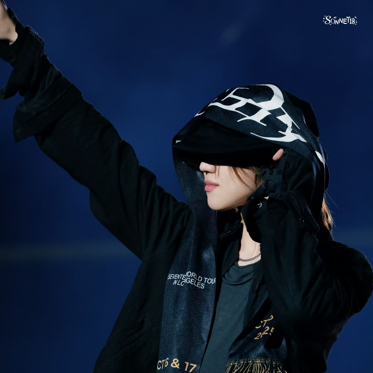 A moment captured by The 8 (SEVENTEEN)'s fan