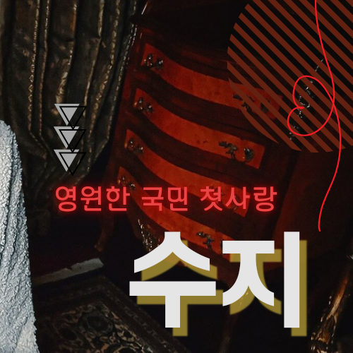 수지 팬이 찍은 순간
