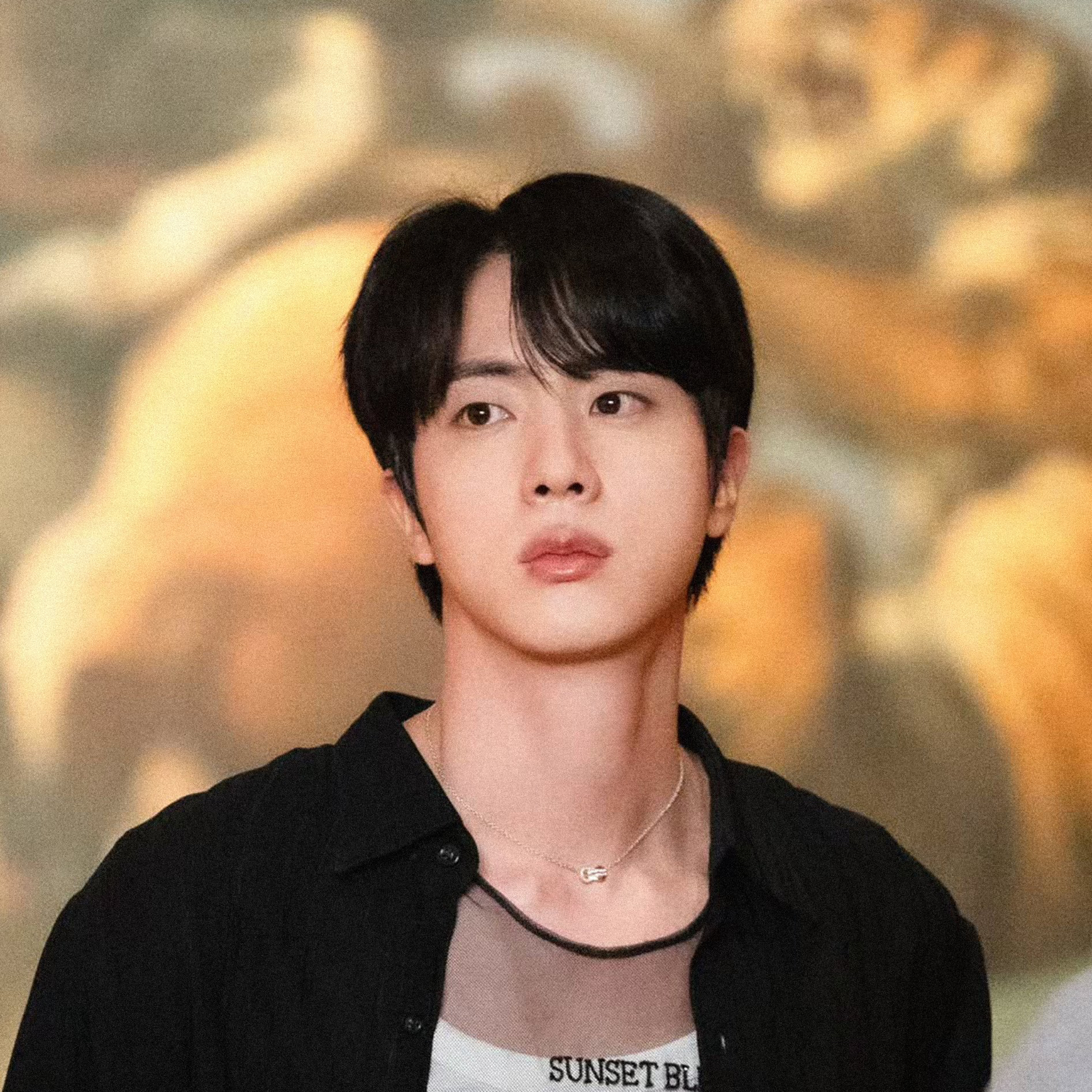 A moment captured by Jin (BTS)'s fan