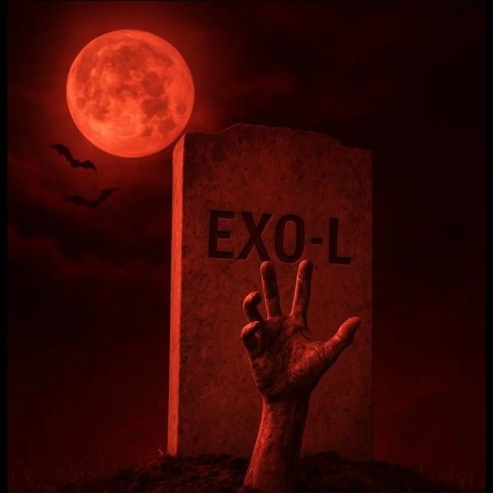 A moment captured by EXO's fan