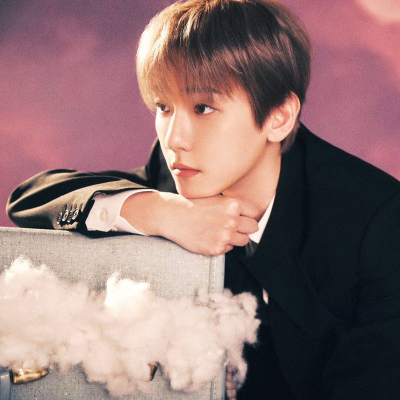 伯賢 (EXO)粉絲拍下的瞬間