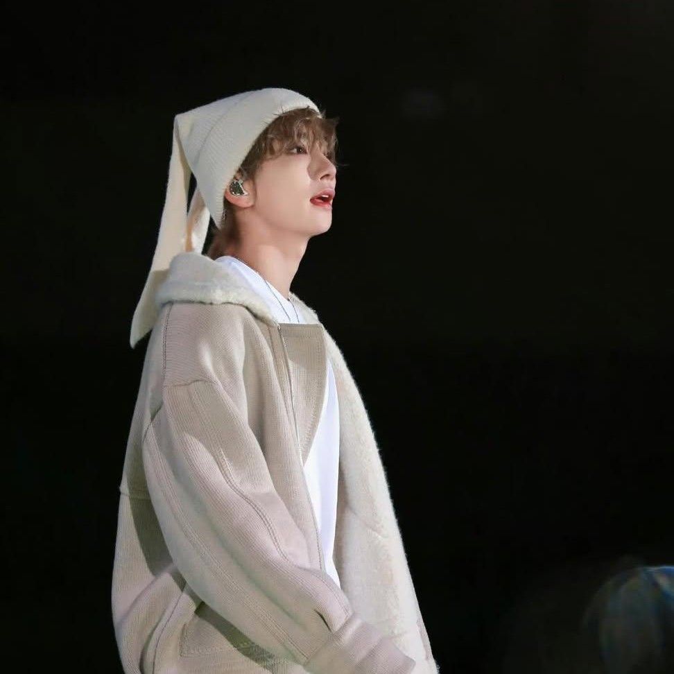 A moment captured by SEVENTEEN's fan